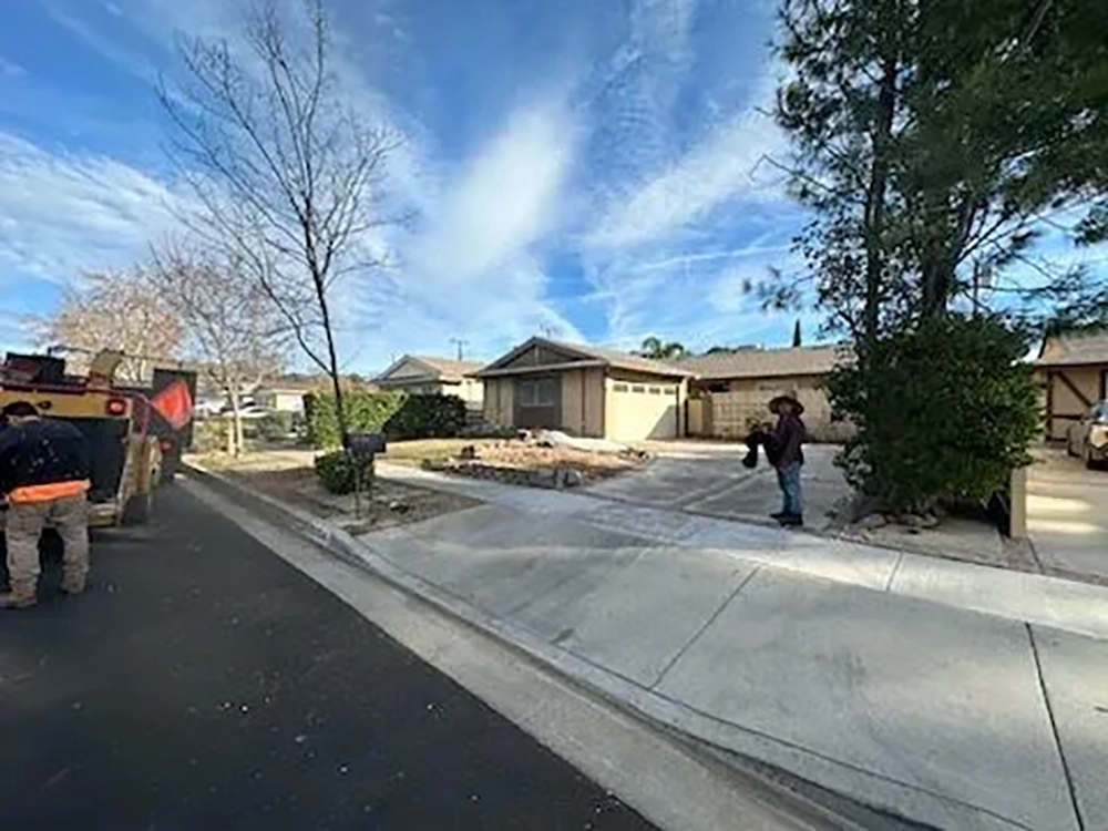 Tree Planting Service In Santa Clarita and Surrounding Areas